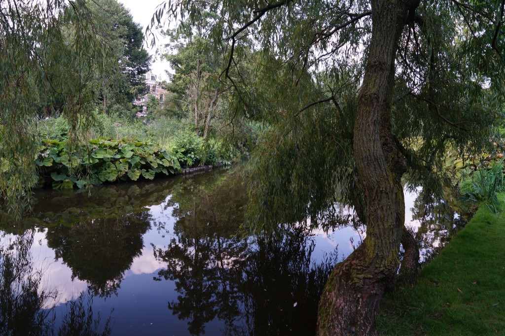 DSC00410