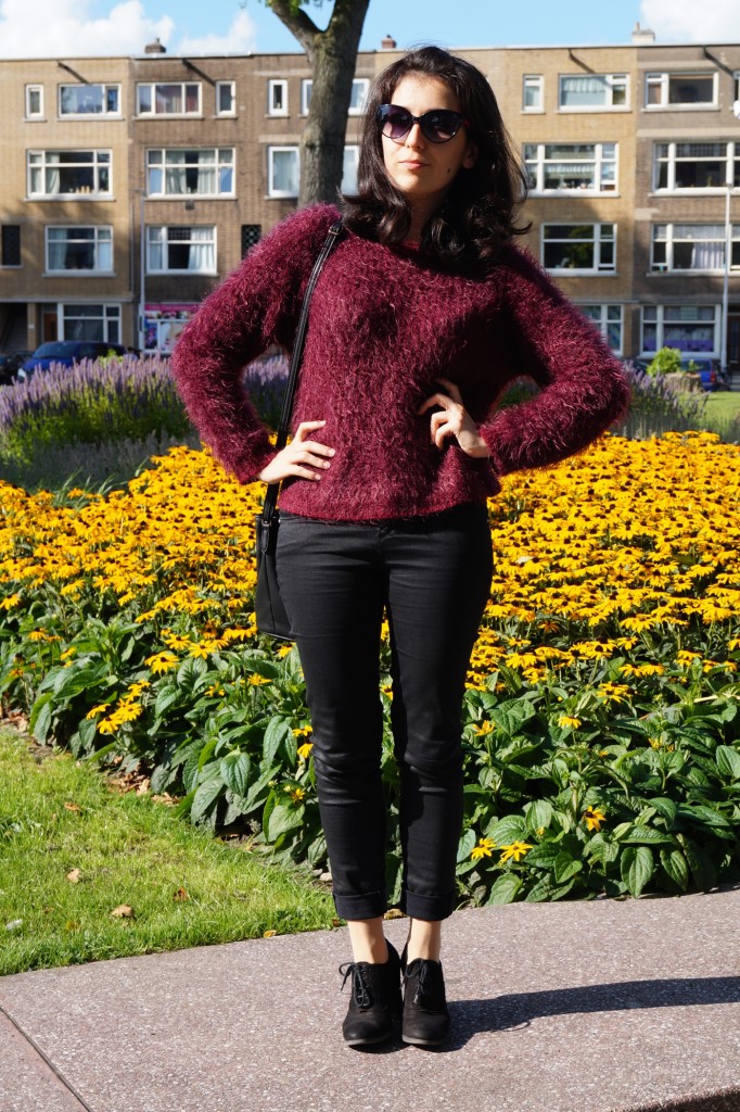 DSC00764