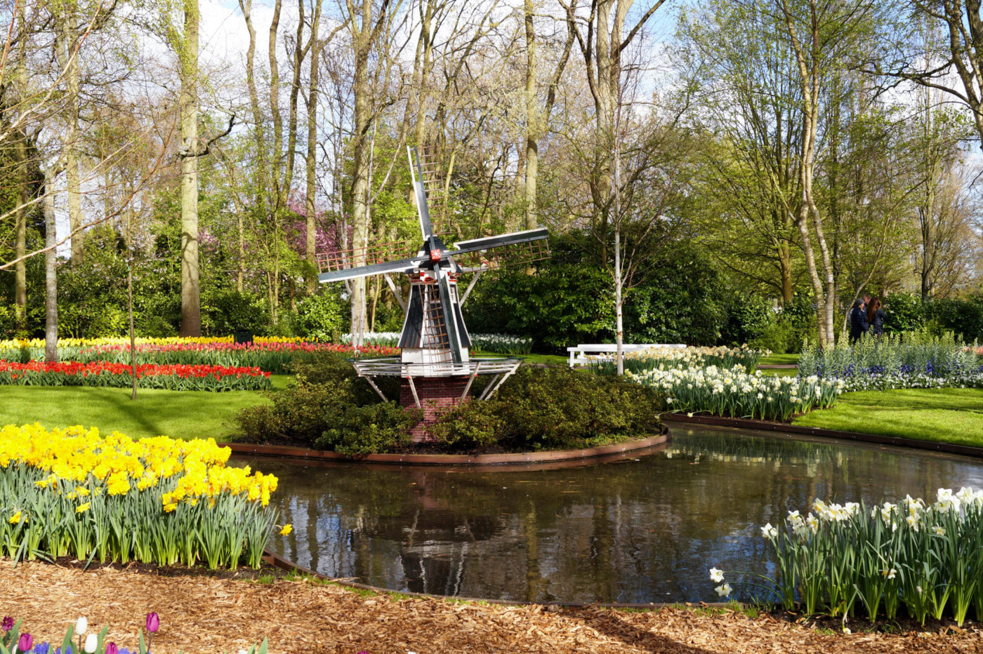 Keukenhof park experience