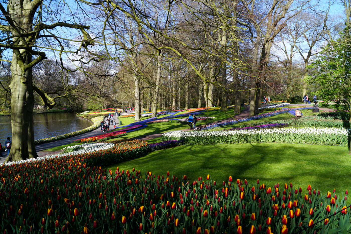 Keukenhof park experience