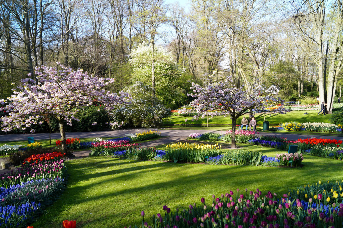 Keukenhof park experience